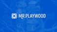 Mr.Playwood