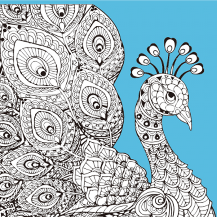 Живопис розпис картина-антистрес Strateg Барви пір'я розміром 30х30 см  (JCEE37117)