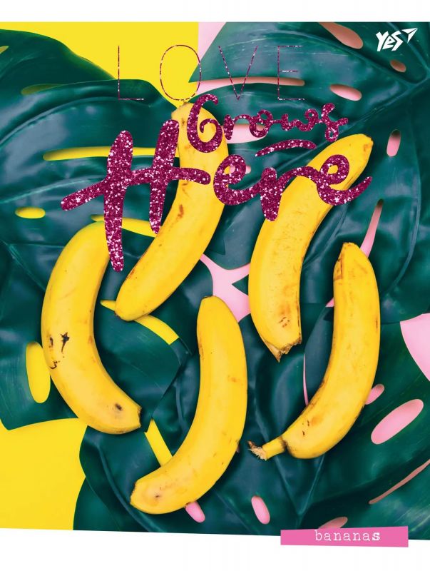 Зошит блокнот для записів А5 аркушів 64 лінія 7БЦ Grows here 151468 YES