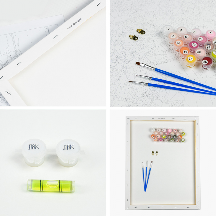 Живопис розпис картина за номерами Гербери та подаруночок Strateg розміром 40х50 см (GS1236)