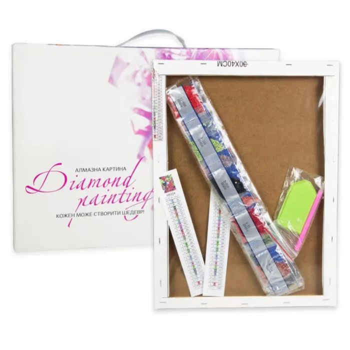 Набір для творчості алмазна вишивка алмазна мозаїка пікнік з вином розміром 30 на 40 см KB048