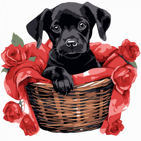 Живопис розпис картина за номерами Чорне щеня з трояндами Strateg розміром 20х20 см (HH8010)