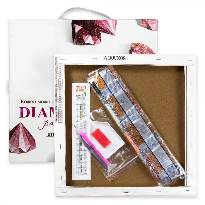 Набір для творчості алмазна вишивка картина мозаїка Будинки Ротенбург-об-дер-Таубер розміром 30х40 см HEG84751