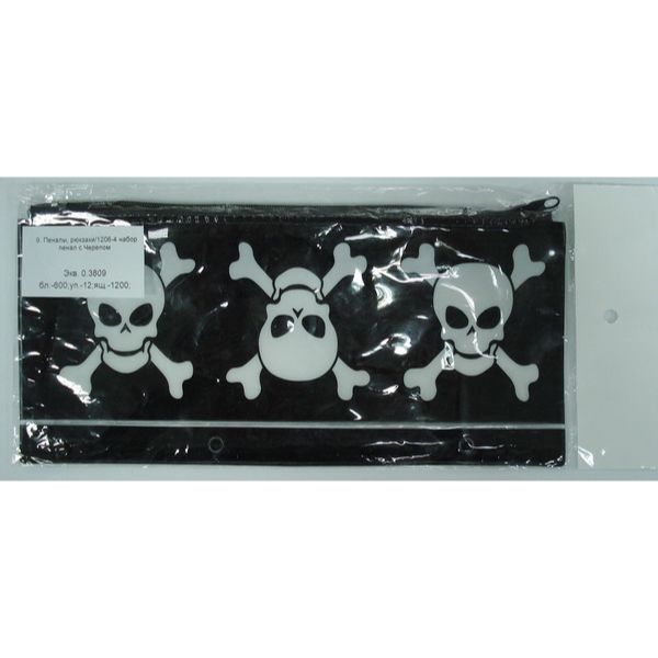 Пенал з Черепом 1206-4