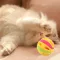 Іграшка для кота (кішки, кошеня) м'ячик дражнилка d 4,8 см 3741, відео в описі 