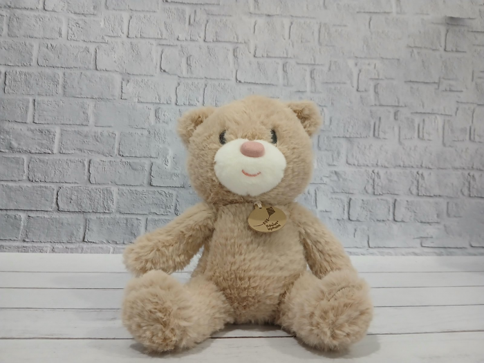 М'яка іграшка плюшевий ведмедик (ведмежа) 25 см (2634), відео в описі 