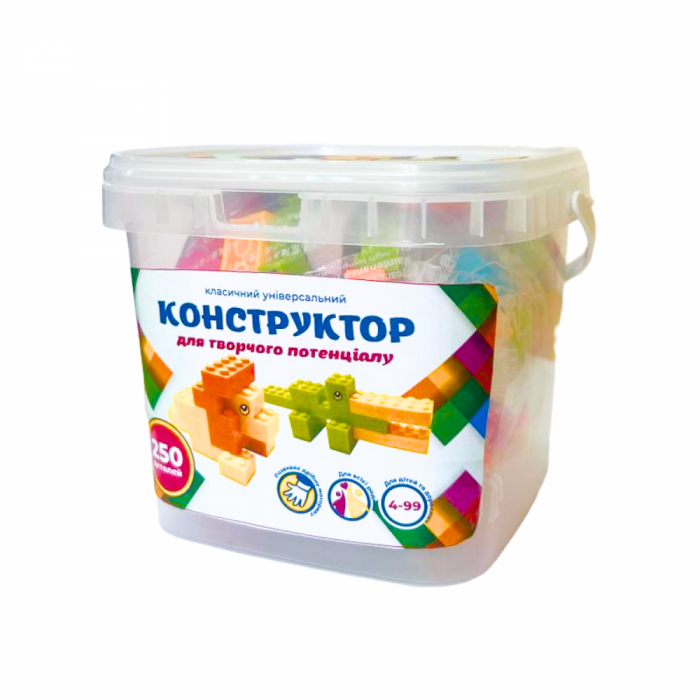 Дитячий конструктор DGT-BLOCKS 250 дрібних деталей (універсальний) 8100-250